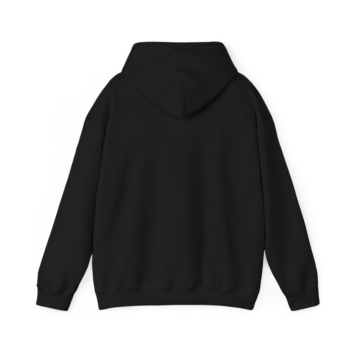 Everyday Streetwear Hoodie | Casual Layering Piece for Outfits | Treaty Oak Revival - alternate angle 1, merchandise